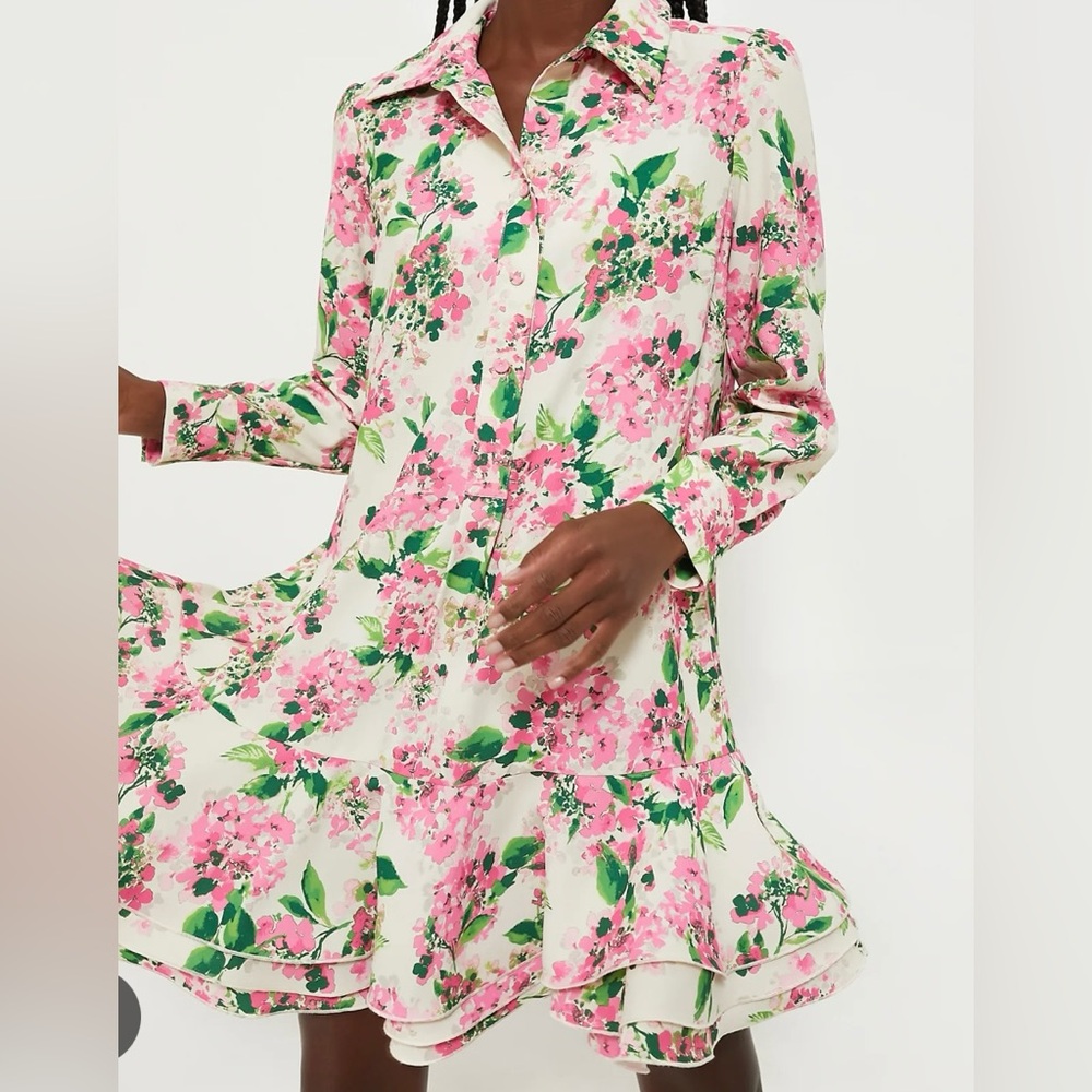 Tuckernuck Floral Pink and Green Shirtdress